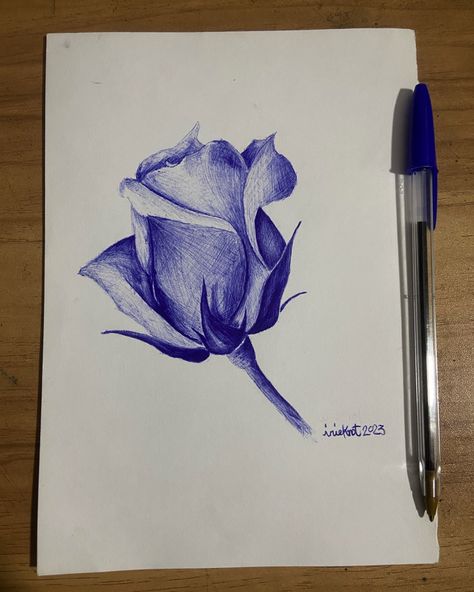 Blue Pen Sketches, Ballpen Drawing, Biro Drawing, Ballpoint Pen Art, Pen Art Work, Ink Pen Art, Ballpoint Pen Drawing, Gcse Art Sketchbook, Pen Art Drawings