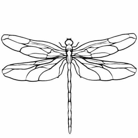 Dragonfly Outline Drawings, Linework Dragonfly Tattoo, Dragon Fly Wings Drawing, Dragon Fly Drawing Sketch, Dragon Fly Tattoo Stencil, Dragon Fly Stencil, Dragon Fly Outline, Dragonfly Drawing Sketch, Dragonfly Tattoo Stencil