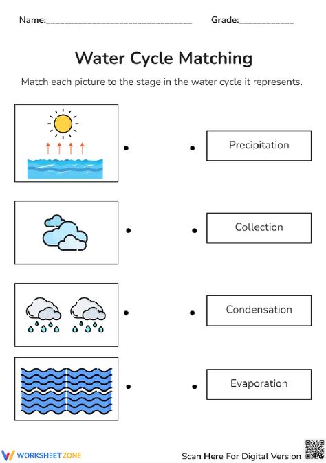 Explore the water cycle by matching pictures depicting words as they pair each stage of the water cycle with its name. Take this pdf and practice right now! #watercycle #science #matching #picturewordmatching #worksheet #printables #water #environment #diagrams #livingthings #pdfs Water Cycle Activities Middle School, Water Cycle Worksheet Kindergarten, Water Cycle For Kindergarten, The Water Cycle Worksheet, Water Forms Worksheet, Water Cycle Project Models, Kids Quiz Questions, Water Cycle Project, Geology Lessons