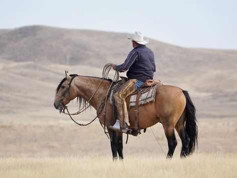 Twd Shifting, Cowgirl Photography, Ranch Horse, Western Horses, Cowboy Life, Maladaptive Daydreaming, American Cowboy, Horse And Human, Exotic Animals