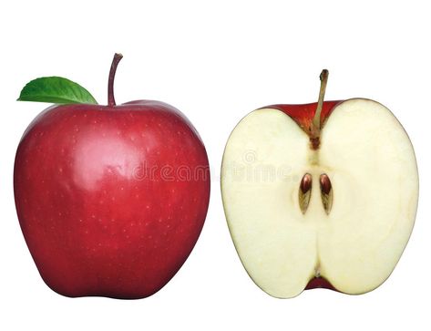 Two apples-2. One whole apple and one sliced in a half , #spon, #apples, #sliced, #apple #ad Apple Cross Section, Manzana Aesthetic, Half Apple, Sliced Apple, Fruit Logo Design, Ny Nails, Shapes Worksheet Kindergarten, Worksheet Kindergarten, Apple Slice