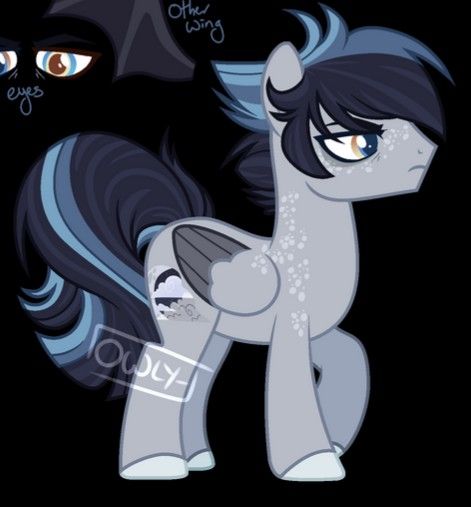 Male Pony Base, Male Mlp Oc, Mlp Male Oc, My Little Pony Boys, Mlp Unicorn, Pony Ocs, Pony Oc, Bottle Drawing, Mlp Ocs