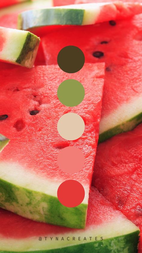 Disney Minimalist, Watermelon Color, Colors Aesthetic, Branding Ideas, Brand Color Palette, Palette Color, Aesthetic Inspiration, Watercolor Paintings Tutorials, Graphics Inspiration