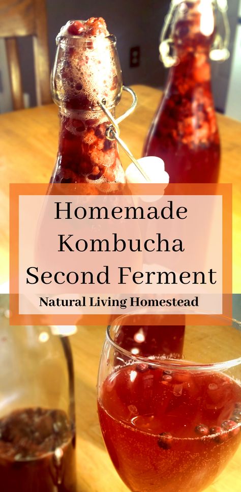 Second Ferment Kombucha, Jun Kombucha, Fermented Vegetables Recipes, Pom Juice, Kombucha Starter, Kombucha Flavors, How To Brew Kombucha, Kombucha Recipe, Homemade Kombucha