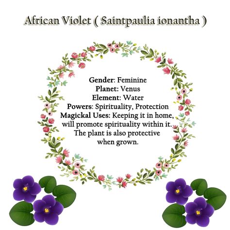 African Violet Flower Meaning, Grimoire Topics, Herb Pantry, Wiccan Designs, Witch Plants, Magickal Correspondences, Witch Kitchen, Lunar Witch, Plant Magic