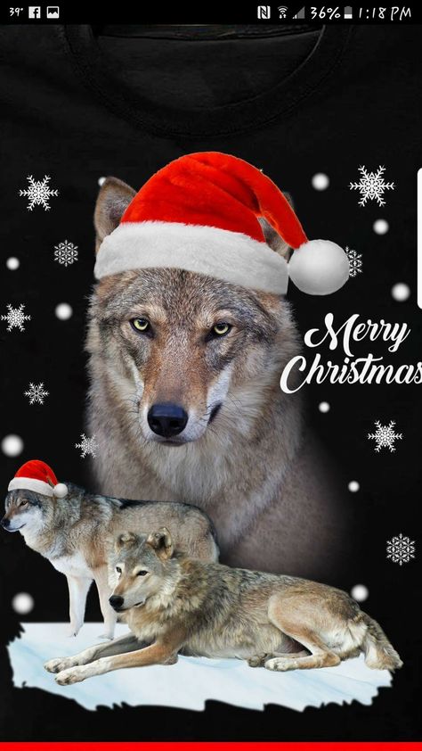 Tiger Spirit Animal, Wolves And Women, Wolf Photography, Wolf Painting, Pisces Quotes, Merry Christmas Wallpaper, Merry Christmas Pictures, Wolf Pup, Fantasy Wolf