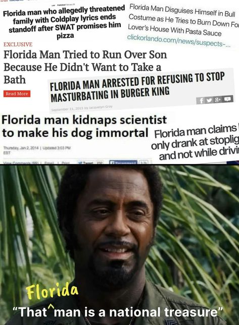 The History of the Florida Man Meme Florida Memes Humor, Florida Man Funny, Florida Jokes, Florida Weather Humor, Florida Man Headlines, Florida Meme, Florida Humor, Florida Man Meme, Chaos Core