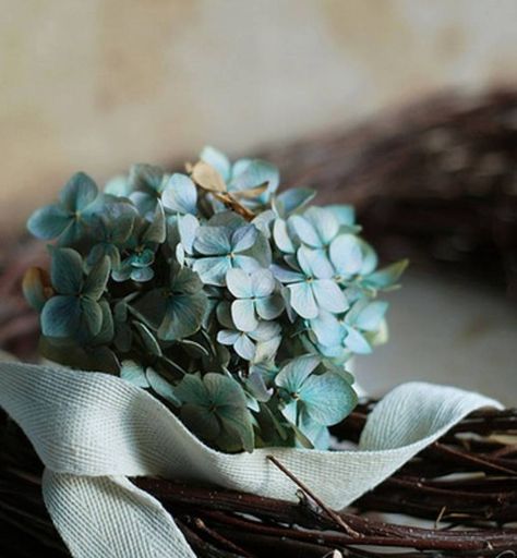 Photo Hygrandea Bouquet, Teal Hydrangea, Ivy House, Azul Tiffany, Color Turquesa, Shades Of Teal, Deco Floral, Aqua Turquoise, Duck Egg Blue