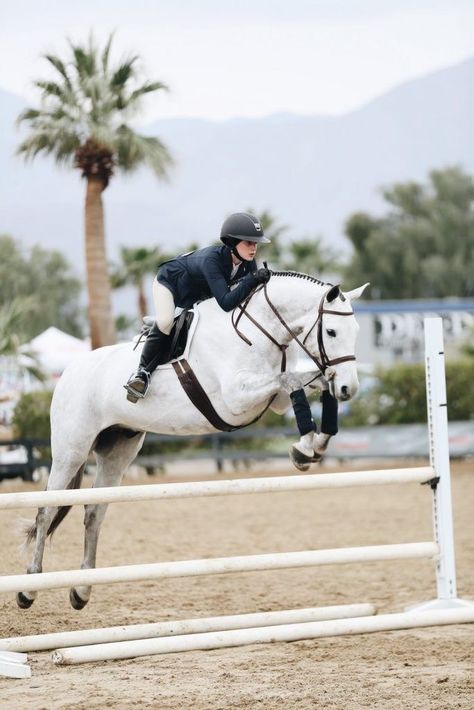 Horse Riding School, Woman Jumping, Horse Magazine, Show Jumping Horses, Equestrian Aesthetic, Cute Horse Pictures, Rasy Koni, Horse Aesthetic, Animale Rare