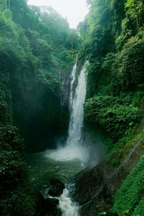 Lush Green Forest, Waterfall Pictures, Forest Waterfall, Waterfall Landscape, Waterfall Photography, Pretty Landscapes, Beautiful Forest, Forest Photography, Green Forest