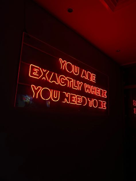 Neon Quotes Aesthetic, Led Quotes, Neon Collage, Croatian Quotes, Cruise Rooms, Quote Painting, Karaoke Bar, American Bar, Neon Signs Quotes