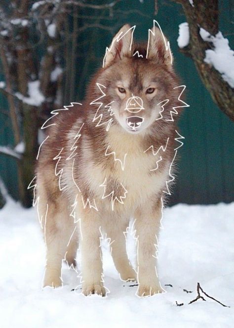 Wolf Symbol, Therian Art, Therian Pfp, Felt Animal Masks, Therian Mask Ideas, Therian Masks, Therian Mask, Coffee And Donuts, Drawing Examples