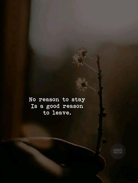 Don’t Lead People On Quotes, Leaving Silently Quotes, A Lady Always Knows When To Leave Quote, If You Are Not Happy Leave Quotes, One Day I Will Leave Quotes, Take It Or Leave It Quotes, Leave Quietly Quotes, Leave Quotes Relationships, If You Want To Leave Then Leave Quotes