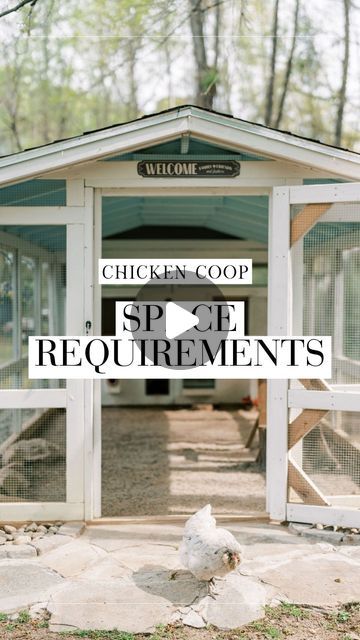 Alysha Whitfield | Bee Jeweled Coop on Instagram: "Navigating the space needs for backyard chickens, especially for those in suburbs or cities! 🏡🐓  My 4x8ft coop serves as a comfy home for my flock and houses up to 12 chickens (but could hold more!) It’s not just about square footage. Consider roosting space (10-12” per chicken) and nesting boxes (1 for every 3-4 chickens).  But here’s the thing: RUN SPACE is crucial and often overlooked. Cramped pre-made coops can lead to unhappy and unhealthy chickens.   Give your chickens at least 10 sq ft each in their run. Opt for a secure, covered run to keep them safe from predators and the elements.   Ensuring these minimum space requirement is key to happy chickens (and neighbors)! 🌿🏠  #chickencoop #diychickencoop #chickenkeeping #newchickenow Chicken Coop On Side Of House, Chickens In The City Backyards, Epic Chicken Coop, Open Chicken Coop, City Chicken Coop, City Homestead, Chicken Coop And Run Ideas, Diy Nesting Boxes, Fancy Chicken Coop