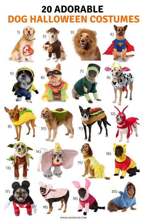 These adorable dog costumes are so cute! I do not know which one to buy for my dogs this year!! Halloween is so fun because it means you get to buy a costume for your dog! Dog Pair Costumes, Puppy Custome Halloween, Puppy Costumes Halloween, Zombie Dog Costume, Maltipoo Halloween Costumes, Dog Hollowed Costumes, Mom And Dog Costumes, Halloween Ideas For Dogs, Costumes For You And Your Dog