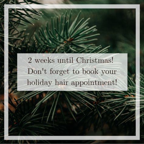 Sunday Appointments Available, Hair Stylist Advertising Ideas, Christmas Appointments Available Salon, Holiday Hair Appointment Quotes, Christmas Hair Quotes, Salon Appointments Available, Holiday Hair Appointment, Hair Appointment Quotes, Hair Appointments Available