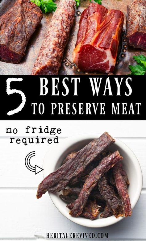 Dried Meat Recipe, Preserve Meat, Preserving Meat, Astronaut Food, Cured Meat Recipes, Food Dehydration, Canned Meats, Canning Food Preservation, Long Term Food Storage