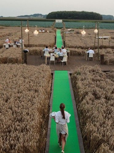 Pop Up Dinner, Deco Champetre, Decoration Evenementielle, Corn Field, Pop Up Restaurant, Farm Stay, Stage Design, Restaurant Interior, Land Art