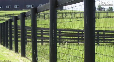 Types Of Fencing, Livestock Fence, Horse Pens, Pasture Fencing, Fence Options, Horse Shelter, Country Fences, Yard Fence, Horse Fencing