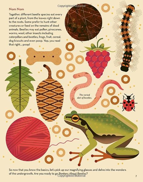 Owen Davey Animals, Owen Davey Illustration, Wild Animal Illustration, Owen Davey, Infographic Illustration, Animal Book, About Animals, Naive Art, Nature Illustration