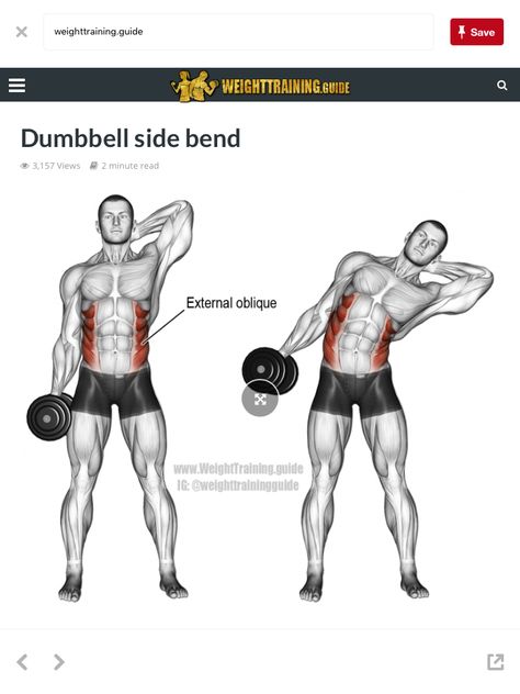 Dumbebell exercise  #Workout  #Dumbbell #Exercise Bicep Femoris, Side Bends Exercise, Psoas Major, Dumbbell Side Bend, Quadratus Lumborum, Stomach Exercises, Deep Core, Oblique Workout, Dumbell Workout