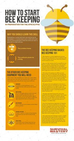 How To Bee Keep, Honey Bee Farming, Honey Bee Facts, Honey Bees Keeping, Keeping Bees, Bee Hive Plans, Backyard Bee, Beekeeping For Beginners, Bee Friendly Garden