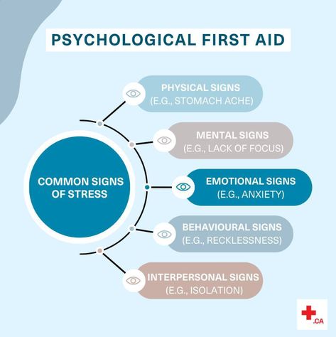 Do you have the training that you need to intervene when someone is experiencing emotional distress? Psychological First Aid training has the instructions you need to help yourself and others with the stresses of life. #mentalhealth #pfa Psychological First Aid, Emotional First Aid, First Aid Training, Mental Health First Aid, Care Coordination, Help Yourself, School Psychology, First Aid, Self Development