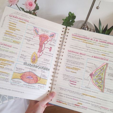 Flip through of my notes, flip through of my biology notebook, pretty notes, notes, notebook, biology notes, desk tour, medical student, medicine, study with me, real time study with me, aesthetic, studygram, study blog, study techniques, how to write the perfect notes, study method, flash cards, productivity, how to get motivated, how to get productive Aesthetic Flashcards, Stabilo Highlighters, Notes Biology, Studying Aesthetic, Medicine Notes, My Notebook, Nurse Study Notes, Medical Student Study, Effective Study Tips