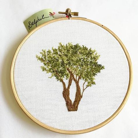 🌳 Olivier 🌳 . . . . . . . . . #olivier #olives #tree #nature #tree #trees #arbres #arbre #draw #dessin #handembroidery #embroidery #embroideryart #broderie #broderiemain #handmade #faitmain #brodeuse #stitching #embroidered #madeinfrance #delphil #tatoueusedetissu #modernembroidery #contemporaryembroidery #embroideryinstaguild #embroiderylove #creuse #limousin #campagne Bullion Embroidery, Contemporary Embroidery, Diy Embroidery Patterns, Thread & Yarn, Limousin, Nature Tree, Modern Embroidery, Olive Tree, Embroidery Tutorials