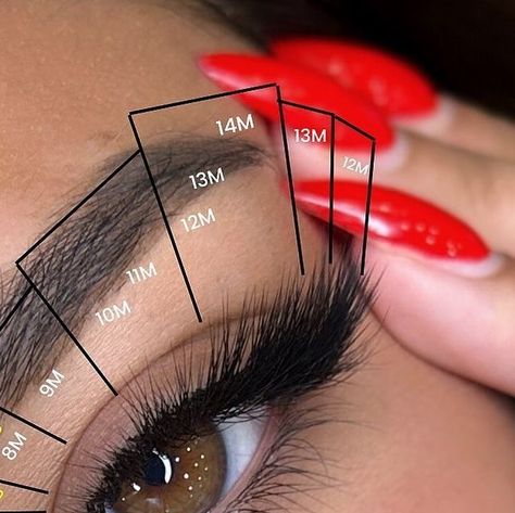 Top lashes and lashmakers on Instagram: "New mapping, fox effect curl M   Credit: @lash.byl   #extensionsdecilsnice #lashcourse #lashmapping #lashmasterclass #lashmap #lashextensions #lashartist #extensionsdecils #extensionsdecilsparis #lashprofessional #lashmaster #lashmasters" M Curl Lash Extensions, Eyelash Tech, Perfect Eyelashes, Lash Business, Eyelash Extentions, Curl Lashes, February 15, Lash Artist, Strip Lashes