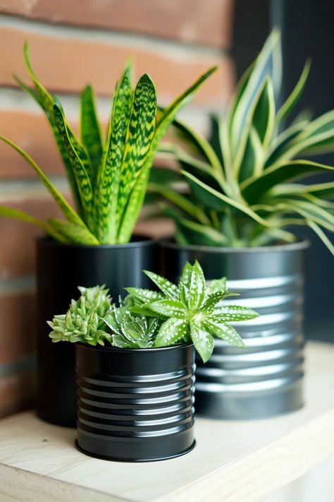 "Add a personal touch to your garden with DIY Upcycled Tin Can Planters! 🛠️🌿 A great way to combine creativity and sustainability in your home decor. 🌿✨ #UpcycledIdeas #DIYGarden #TinCanDecor" Tin Can Planters Diy, Can Planters Diy, Tin Can Planters, Can Planters, Planters Diy, Diy Planter, Tin Cans, Diy Planters, Tin Can