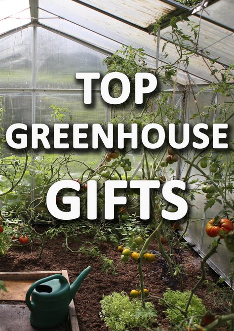 Green House Storage Ideas, Small Greenhouse Interiors Layout, How To Decorate A Greenhouse, Greenhouse Storage Ideas, Greenhouse Must Haves, Green House Ideas Interior, Greenhouse Planting Layout, Greenhouse Decorating Ideas, Greenhouse Set Up Inside