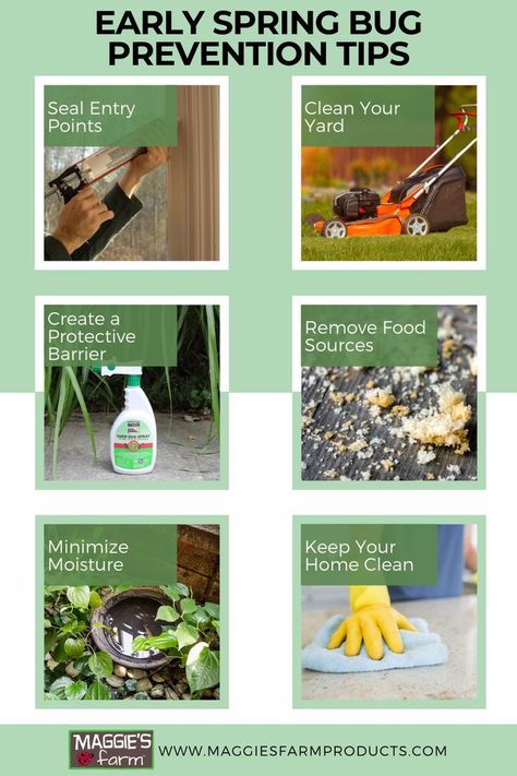 Early Spring Bug Prevention Tips infographic. Caulking, mowing lawn, Yard Bug Spray, crumbs, water in yard, cleaning counters. House Bugs, Pest Prevention, Living Skills, Natural Pest Control, List Of Things, Early Spring, Pest Control, Bugs, Make Your