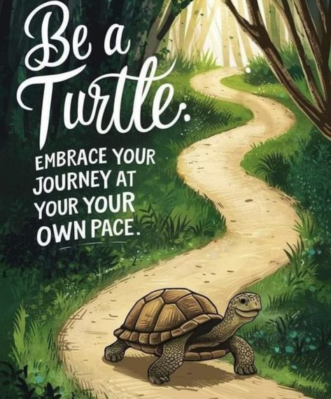 Slow Time Quotes, Quotes Slow Down, Turtle Wisdom, Slow Quotes, Slow Down Quotes, Fish Quotes, Turtle Spirit Animal, Turtle Quotes, Swim Quotes