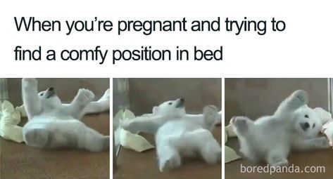 Pregnancy-Memes Third Trimester Humor, Third Trimester Memes, Funny Pregnancy Memes, Pregnancy Jokes, Pregnancy Memes, Pregnancy Info, Pregnancy Information, Pregnancy Quotes, Baby Sleep Problems