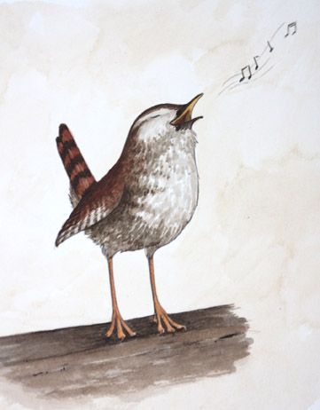 Wren singing Bird Singing Illustration, Birds Singing Drawing, Singing Bird Drawing, Singing Bird Tattoo, Wren Illustration, Animals Singing, Wren Tattoo, Singing Drawing, Bird Singing