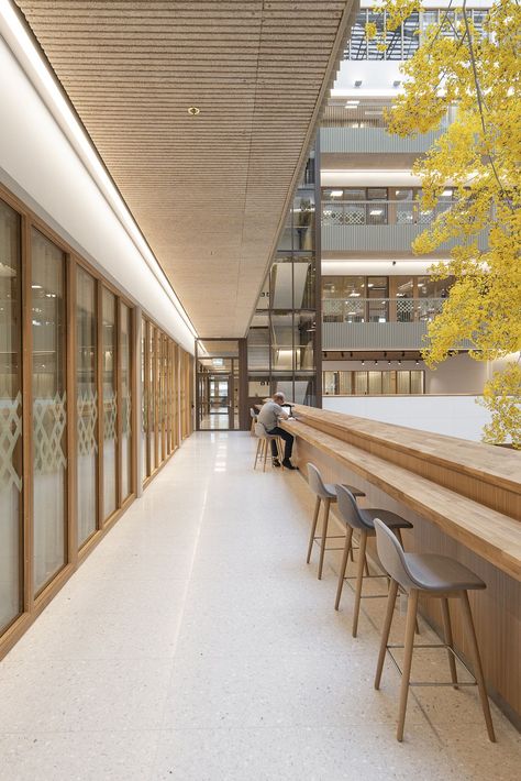 In August 2023, the new Natrium building was completed at Medicinareberget, the University of Gothenburg’s life sciences hub. Troldtekt acoustic panels adorn the ceilings in the reception area and corridors, and together with the building’s wooden materials, help to create a light and warm atmosphere that counterbalances the building’s white floor. Click the picture to see more.

#goodacoustics #holzwolleplatten #träullsplattor #woodwoolpanels #troldtekt | Architects: Kanozi Arkitekter Acoustics Design, University Building, Outdoor Baths, Central Idea, White Floor, Reception Area, White Floors, University Campus, Gothenburg