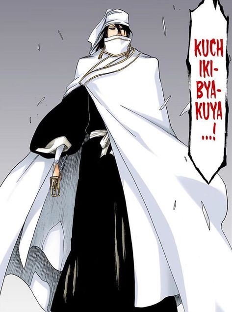 Vlone Logo, Bleach Pictures, Kuchiki Byakuya, Urahara Kisuke, Bleach Funny, Ulquiorra Cifer, Tite Kubo, Arte Ninja, Kuchiki Rukia