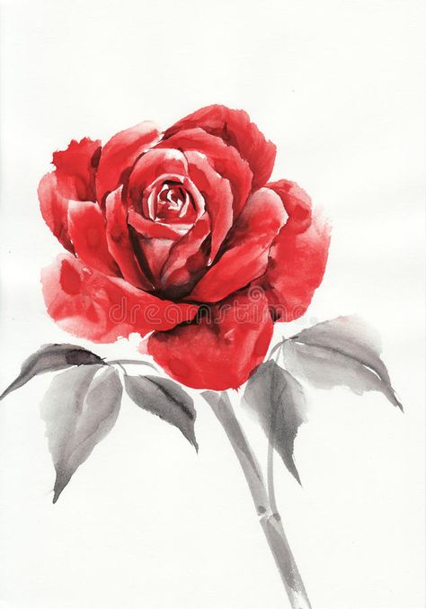 Red rose watercolor painting. Red rose flower original watercolor painting royalty free illustration Red Rose Drawing, Red Rose Watercolor, Rose Watercolor Painting, Drawing Roses, Watercolor Tattoo Flower, Rose Watercolor, Rose Illustration, Watercolor Red, Rose Drawing