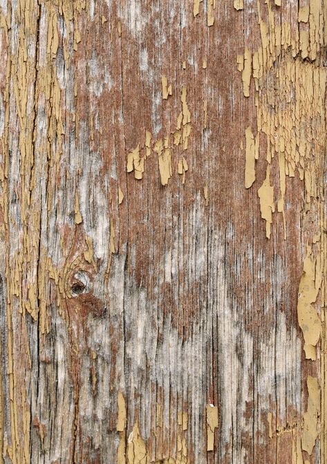 Background Wood Texture, Free Wood Texture, Wood Wall Texture, Painted Wood Texture, Texture Template, Wood Texture Seamless, White Wood Texture, Old Wood Texture, Painted Backdrops