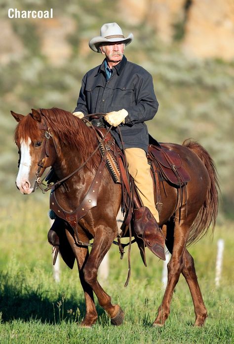 Cowboy Draw, Cowboy On Horse, Cowboy Photography, Horse Beautiful, Cowboy Pictures, Classic Cowboy, Action Pose Reference, Cowboy Horse, Cowboy Art