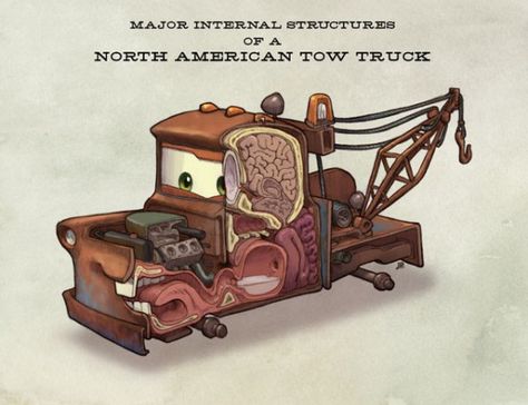 Anatomical Cars - Tow Mater  Suddenly, I'm particularly interested in biology. Disney Mater, Jake Parker, Mater Cars, Tow Mater, Cars Characters, Quotes Disney, Pixar Movies, Cars Movie, Pixar Cars