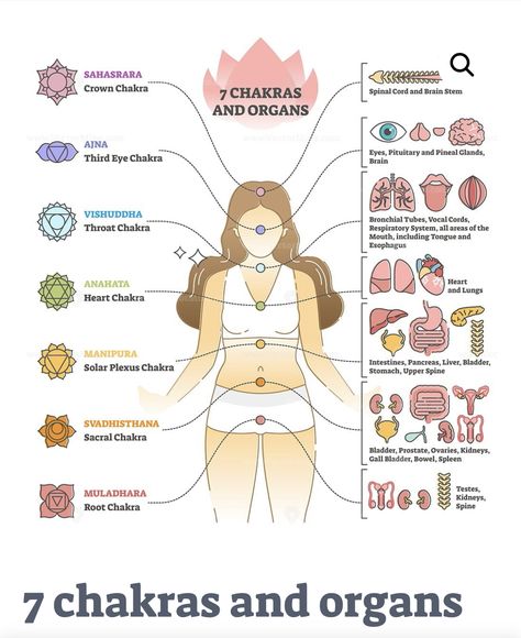 7 Chakras Tattoo, Chakras Tattoo, 7 Chakras Meditation, Yoga Goddess, Chakra Raiz, Chakra Health, Body Diagram, Organ System, Chakra System