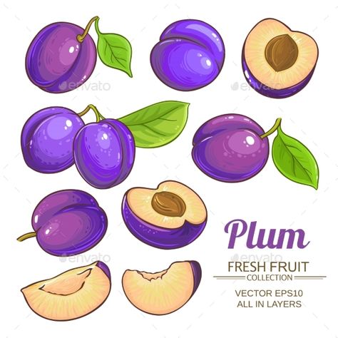 Plum Fruits Vector Set #Fruits, #Plum, #Set, #Vector Plum Paint, Fruits Vector, Plum Art, Gouache Tutorial, Plum Fruit, Fruits Drawing, Fruit Vector, Fruit Illustration, Elementary Art Projects