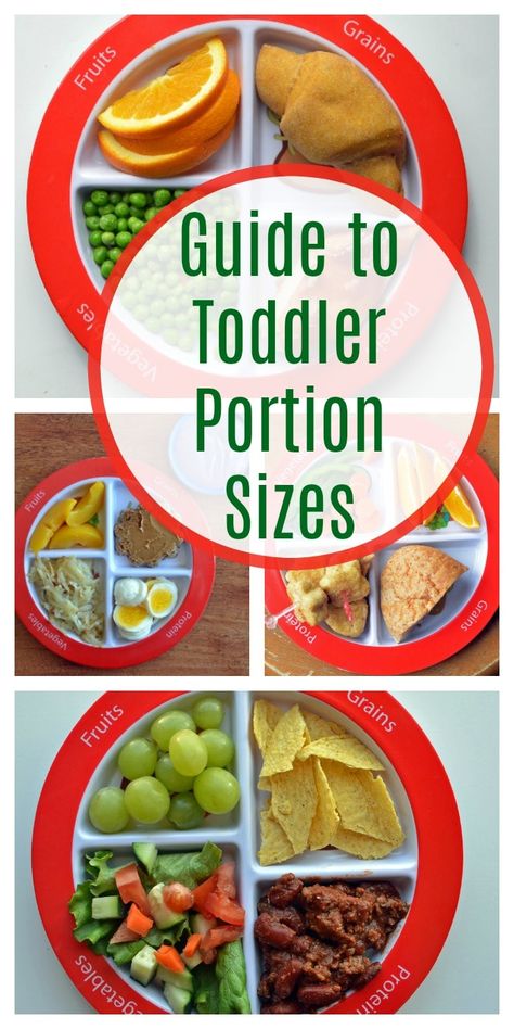 Guide to Toddler Portion Sizes Food Portion Sizes, Toddler Nutrition, Toddler Breakfast, Healthy Toddler Meals, How To Cook Beans, Portion Sizes, Future Children, Nutrition Guide, How To Cook Eggs