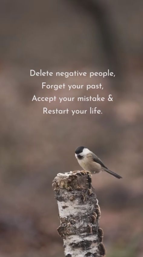 Restart your life for the best Nature, Restart Your Life Quote, Restarting Your Life, Restart Quotes, Restart Life, Yoga Captions, Restart Your Life, Nature Quotes Beautiful, Success Lifestyle