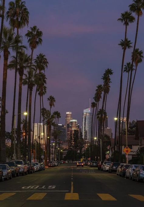 West Los Angeles Aesthetic, Dark Los Angeles Aesthetic, California High School Aesthetic, 2016 La Aesthetic, 90s La Aesthetic, La At Night Aesthetic, La Night Aesthetic, Los Angeles Night Aesthetic, La Aesthetic Night