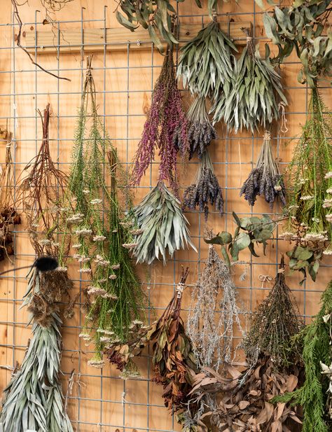 Dried Herbs Hanging Decor, Dry Flower Photography, Wall Of Dried Flowers, Dry Flower Decoration, Dried Flower Storage Ideas, Simple Dried Flower Arrangements, Dried Flower Storage, Dry Plants Decoration, Hanging Flowers Decor