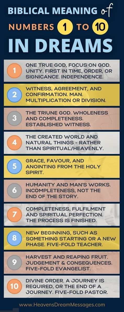 Infographic of the biblical and spiritula meaning of numbers one, two, three, four, five, six, seven, eight, nine, and ten in dreams. Dream Messages, Biblical Numbers, Dream Writing, Meaning Of Numbers, Biblical Dream Interpretation, How To Remember Dreams, Bible Verse Vinyl, Bible Meaning, Biblical Teaching