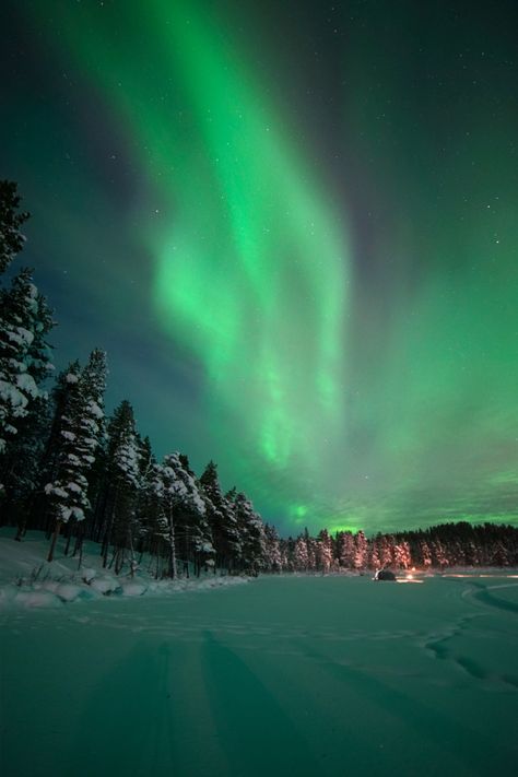 Northern Lights Sweden, Kiruna Sweden, Winter Northern Lights, Ecosystems Projects, Beautiful Winter Pictures, Adventure Travel Explore, Rainbow Sky, Sky Full Of Stars, Frozen Lake